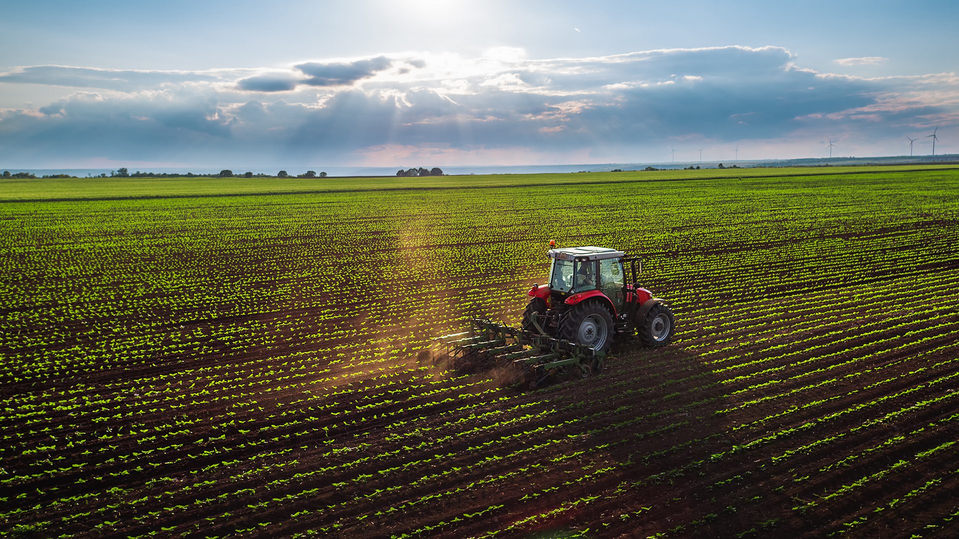 A red tractor ploughing a field